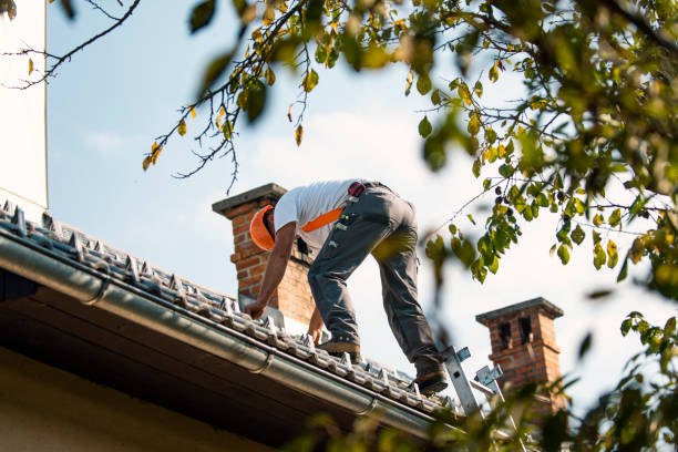 Fast & Reliable Emergency Roof Repairs in Lewisville, WA