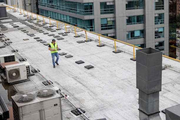 Best Roof Moss and Algae Removal  in Lewisville, WA