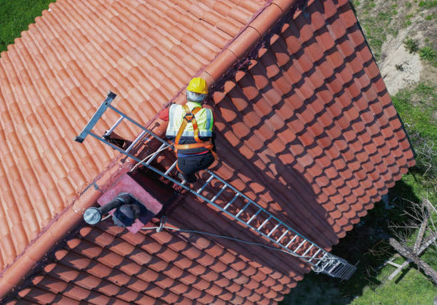 Best Green or Eco-Friendly Roofing Solutions  in Lewisville, WA